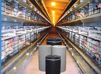 лист,лента,вентшахты из полимеров - Изображение #4, Объявление #70474