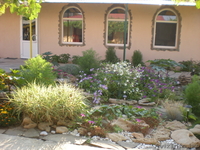 Крым. Тихое место. Береговое. - Изображение #2, Объявление #65168