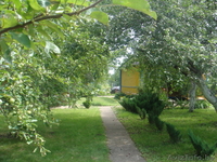           Продаю дачу - Изображение #2, Объявление #63462