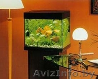 Аквармум новый на 30 и 50 литров с крышкой-подсветкой   - Изображение #3, Объявление #68720