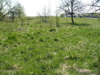 Участок с ветхим домом - Изображение #3, Объявление #69392