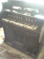 орган HOFBERG малый 1913 г выпуска - Изображение #1, Объявление #61020