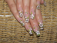 Наращивание ногтей  на формы и типсы,коррекция,укрепление ногтевой пластины  био - Изображение #4, Объявление #86073