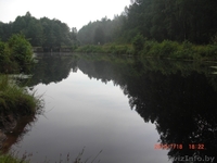 Дом в Березинском заповеднике.  - Изображение #1, Объявление #76050