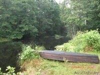 Дом в Березинском заповеднике.  - Изображение #3, Объявление #76050