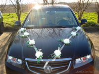 Свадебные украшения на авто - Изображение #4, Объявление #79001