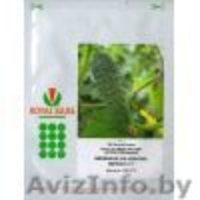 Подаю семена  SEMINIS - Изображение #2, Объявление #102306