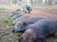 Охота в 40 км от г. Минска и по РБ - Изображение #3, Объявление #87053