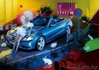 продам декоротивного кролика - Изображение #1, Объявление #91979