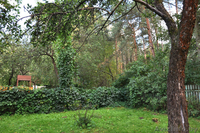 Элитный участок в сосновом лесу  в Минске - Изображение #1, Объявление #88361