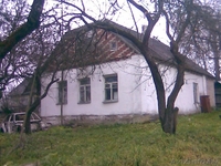 продам дом с участком или участок без дома - Изображение #2, Объявление #101833