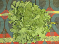 веники для бани береза дуб - Изображение #2, Объявление #102015