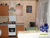 sasha_sheveluk@mail.ru 80296029020 - Изображение #3, Объявление #97972