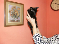 Отдам в добрые руки - Изображение #3, Объявление #108751