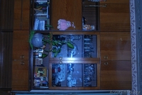 Стенка чешская б/у в хорошем состоянии - Изображение #2, Объявление #118666