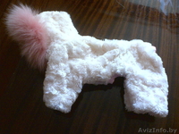 ОДЕЖДА ДЛЯ КОТОВ И СОБАК - Изображение #1, Объявление #105963