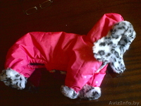 ОДЕЖДА ДЛЯ КОТОВ И СОБАК - Изображение #2, Объявление #105963