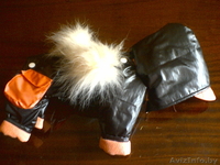 ОДЕЖДА ДЛЯ КОТОВ И СОБАК - Изображение #5, Объявление #105963