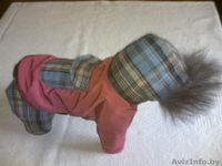 ОДЕЖДА ДЛЯ КОТОВ И СОБАК - Изображение #3, Объявление #105963
