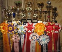 Продаются Котики-Экзотики, - Изображение #3, Объявление #130275