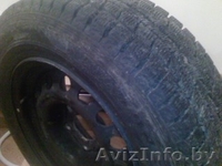 Шины зима 205/65/15 - Изображение #1, Объявление #134274