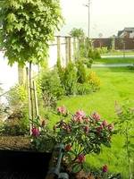 Обрезка деревьев, уход за садом, профессионально, недорого. - Изображение #2, Объявление #139255