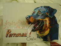 Художник-анималист - Изображение #2, Объявление #148327