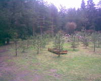 Эkсклюзивный  Дом в Вильнюсе - Изображение #7, Объявление #176567