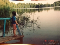 Дача в с\т "Чайка" Смолевичский р-н - Изображение #3, Объявление #180075