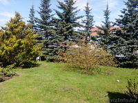 Жилой дом  в Вильнюсе 2000 года  - Изображение #10, Объявление #176720