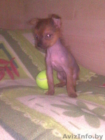 не пожалеете спешите! - Изображение #1, Объявление #159396