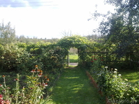 Продаю дачу? 18 км от МКАД, Молодеченское направление - Изображение #7, Объявление #167320