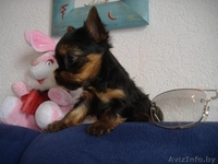 Таня Хрущ  1970 - Изображение #1, Объявление #161616