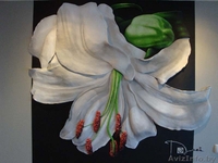 Художественная, фактурная роспись помещений - Изображение #10, Объявление #203572