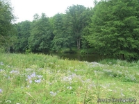 Усадьба "Свитязянка" (НЕ АГЕНТСТВО).Торг! - Изображение #5, Объявление #214274