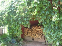 Усадьба Минск 20 км от МКАД Живописное место! Вековые сосны на территории. - Изображение #6, Объявление #205230