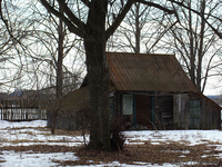 Хутор в Гродн.обл. д.Каменка - Изображение #9, Объявление #191348