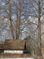 Хутор в Гродн.обл. д.Каменка - Изображение #6, Объявление #191348