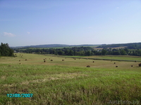 Продаю дачный участок 7 соток 45 км от МКАД логойский р-н Мядельское напр. - Изображение #3, Объявление #208734