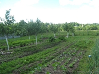 Усадьба Минск 20 км от МКАД Живописное место! Вековые сосны на территории. - Изображение #9, Объявление #205230