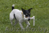 Монтаж полипропиленовых труб - Изображение #2, Объявление #214886