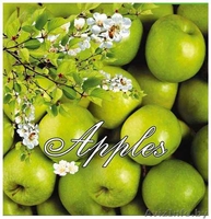 пакеты с пластиковыми ручками  компании MiF - Изображение #5, Объявление #225036