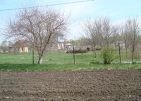 Продается дача.  25 км от МКАД  - Изображение #4, Объявление #249873