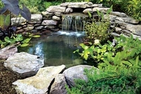 Благоустройство, озеленение. - Изображение #1, Объявление #274496