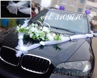 Украшения для машин и зала)) - Изображение #4, Объявление #19934