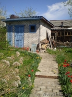 продаю дачу в ст"Прамень", Молодечненское напр. - Изображение #3, Объявление #259889