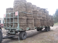 новая сельхозтехника - Изображение #2, Объявление #266333