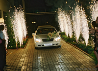 ООО  "Белый Тигр" - Изображение #2, Объявление #281464