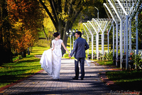 Wedding Studio Адамовича Дмитрия - Изображение #1, Объявление #292305