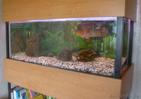 Аквариум 350 л б/у полный комплект - Изображение #2, Объявление #283847